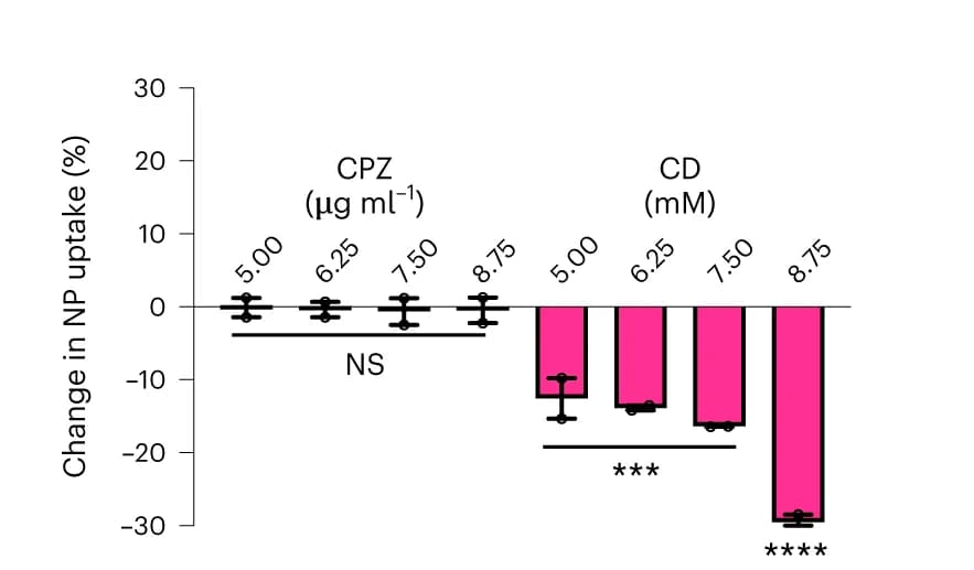 Open access visualization of Bar Plot, Error Bars, FiVis Nanoparticles, bEnd.3 Cells, Pharmacological Inhibitors