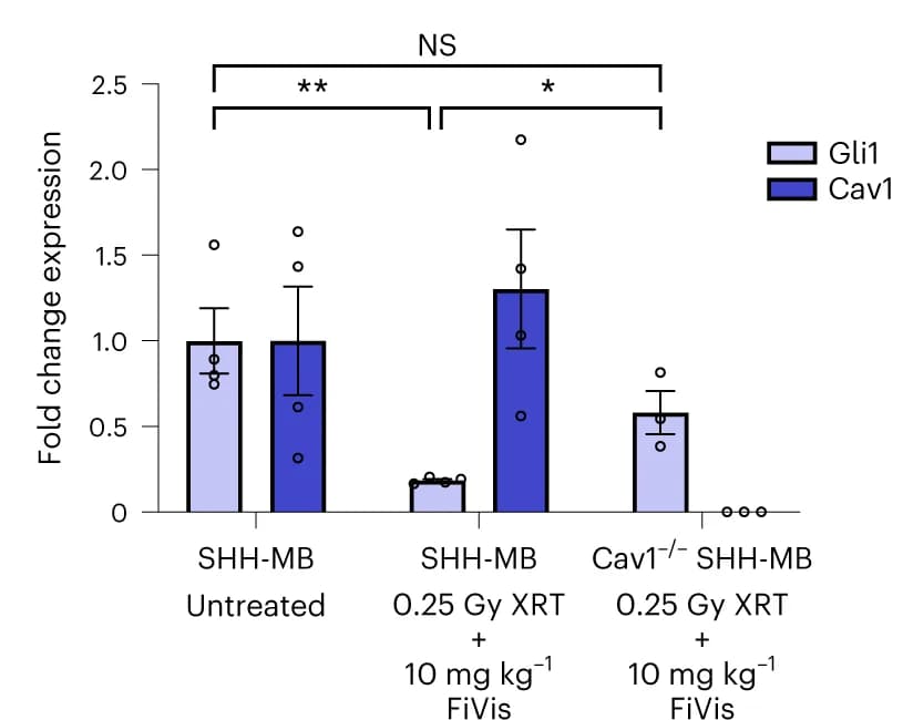 Open access visualization of Bar Plot, Error Bars, Quantitative Real-Time PCR, Gli1 Target Inhibition, Cav1 WT SHH-MB Tumours