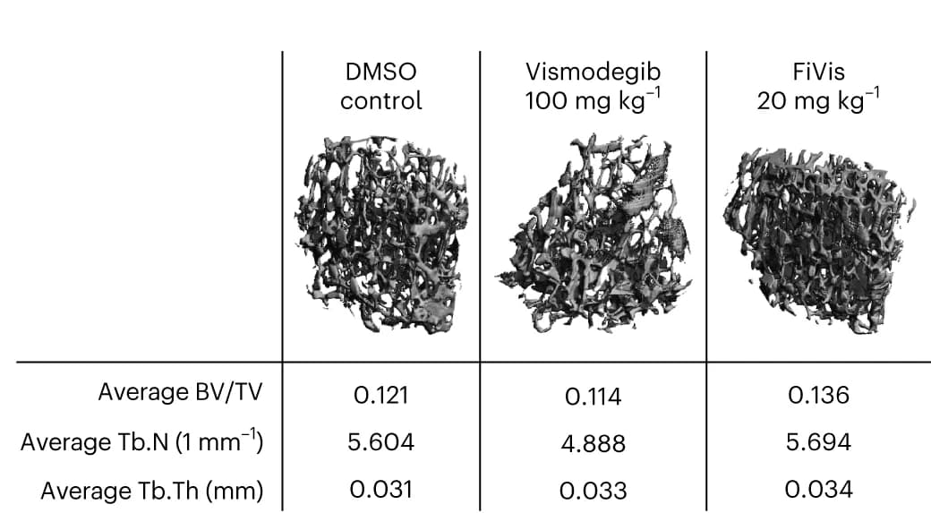 Open access visualization of Microscopy, Table Image, Mice, Microcomputed Tomography, Trabecular Bone