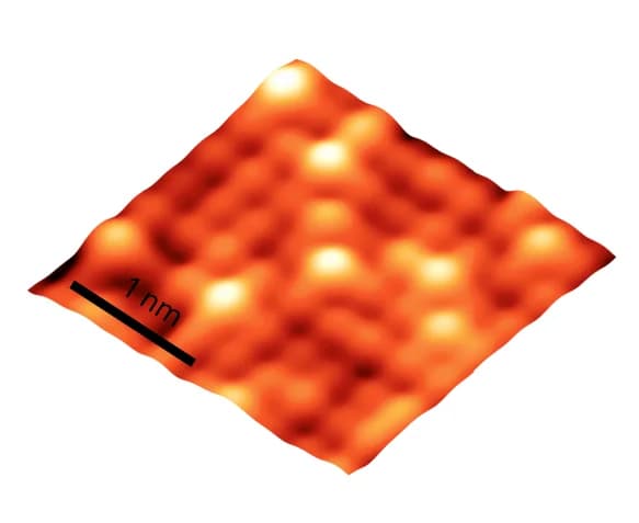 Open access visualization of Microscopy, Topography