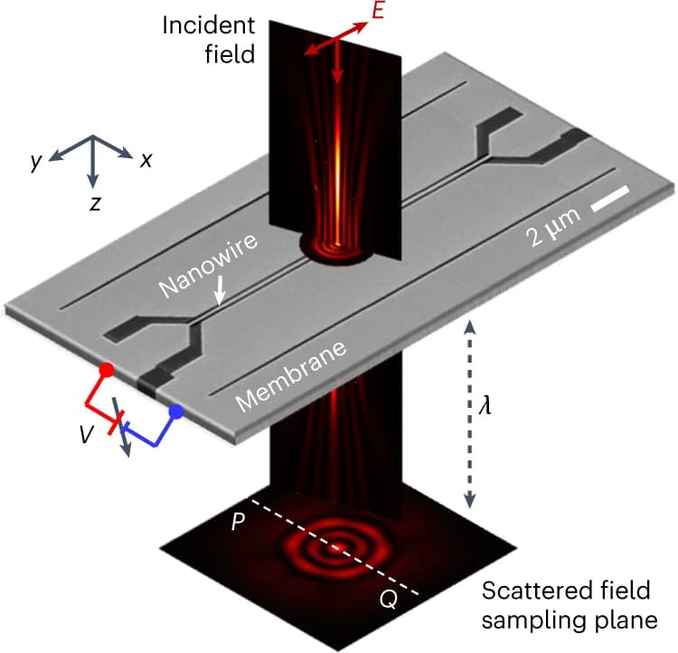 Open access visualization of Microscopy, Nanowire, Microscope objective, Membrane, Displacements