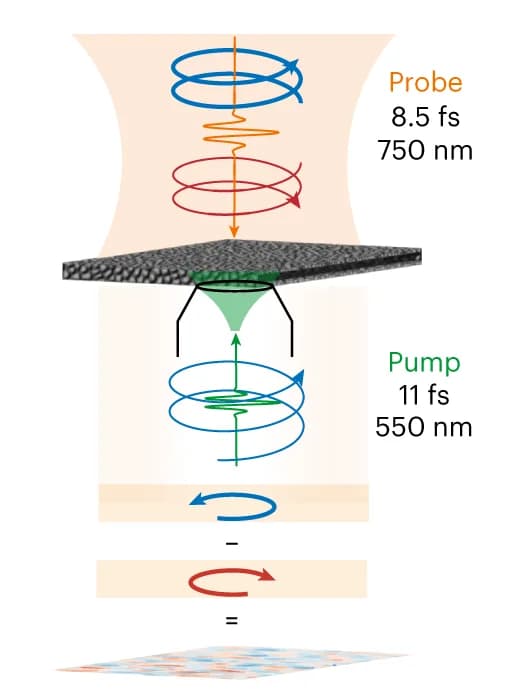 Open access visualization of Illustration, Workflow, Experiment, Circularly polarized pump pulse, Probe pulse