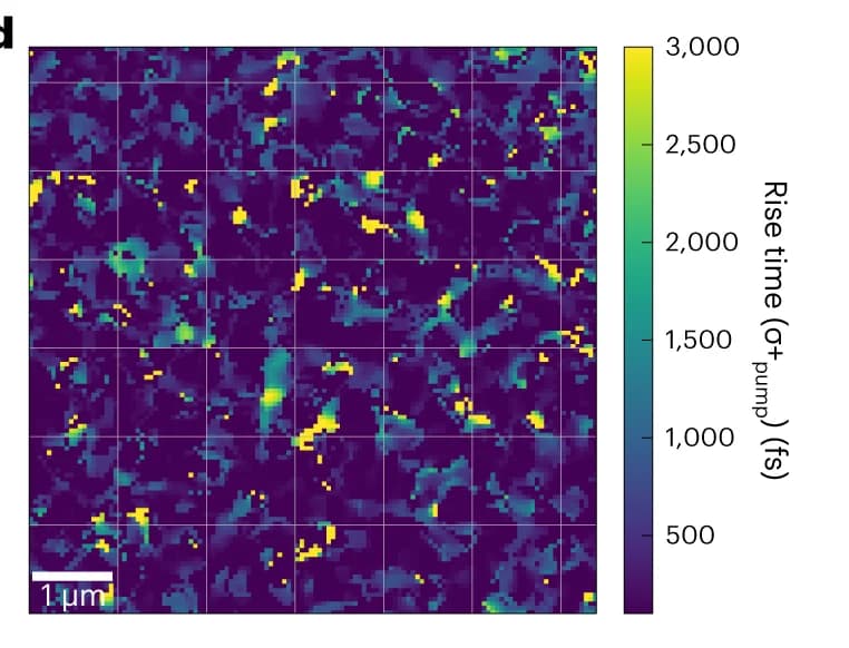 Open access visualization of Heatmap, Helicity, Pump, Polarization, Correlation