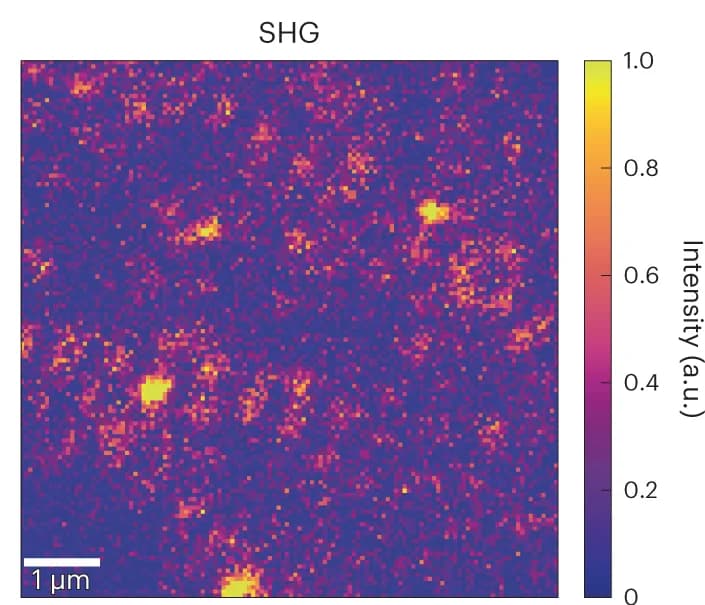 Open access visualization of Heatmap, SHG Signal, Inversion Symmetry Breaking