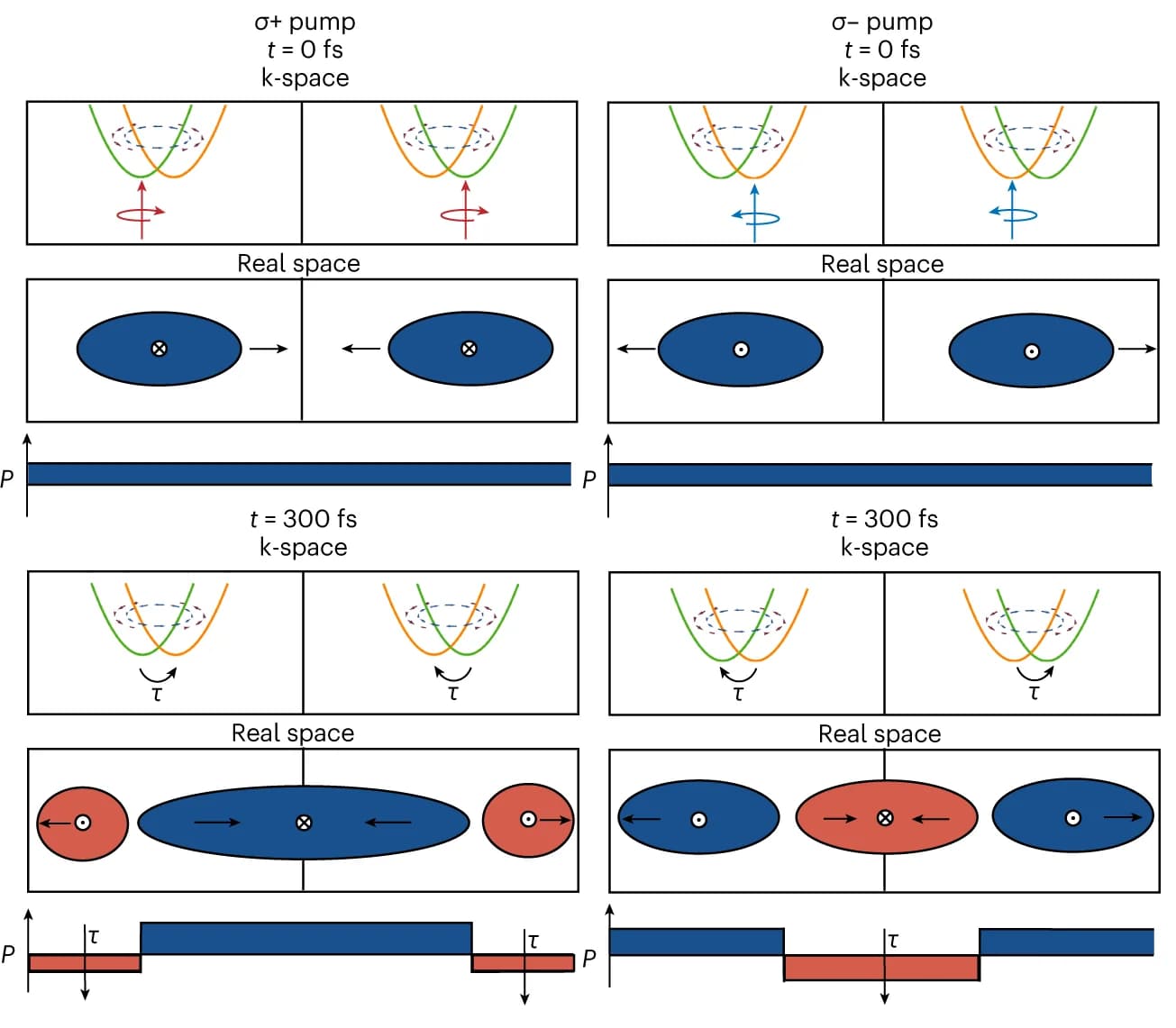 Open access visualization of Illustration, Workflow, Inversion Symmetry Breaking, Spin Textures, Spin-Momentum Locking