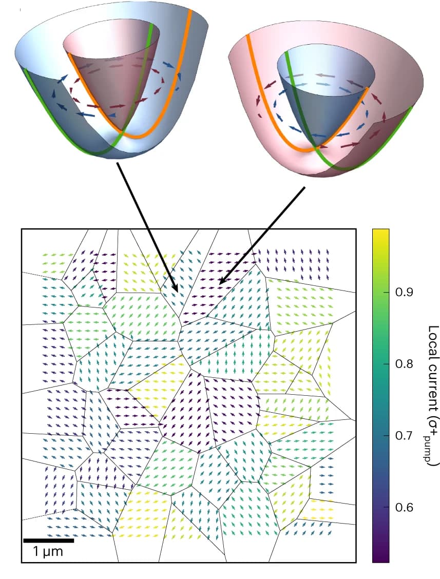 Open access visualization of Illustration, Crystalline Domain Structures, Inversion Symmetry Breaking, Spin Textures, Spin-Momentum Locking