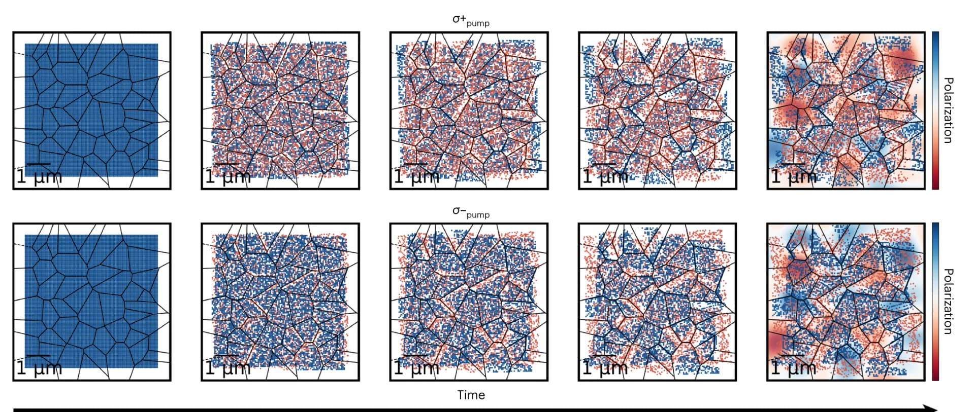 Open access visualization of Scatter Plot, Heatmap, Polarized Spin Populations, Monte Carlo Model, Spin Flips