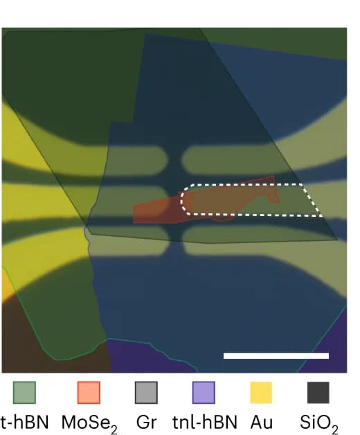 Open access visualization of Microscopy, Optical Microscope Image, MoSe 2 Device, hBN, Graphene