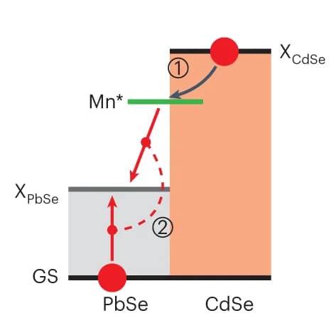 Open access visualization of Illustration, Workflow, Excitonic Representation, Spin-Exchange CM, Mn-doped PbSe/CdSe Core/Shell QDs