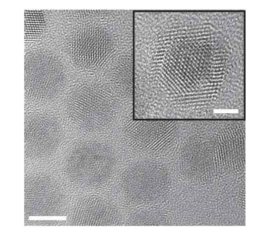 Open access visualization of Microscopy, TEM Image, Mn-doped PbSe/CdSe Core/Shell QDs, Scale Bar, QD