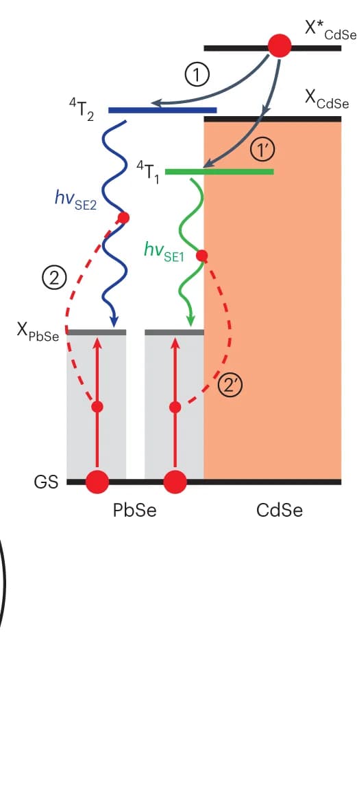Open access visualization of Illustration, Workflow, Excitonic Representation, Radiative Channels, hv SE1 Emission