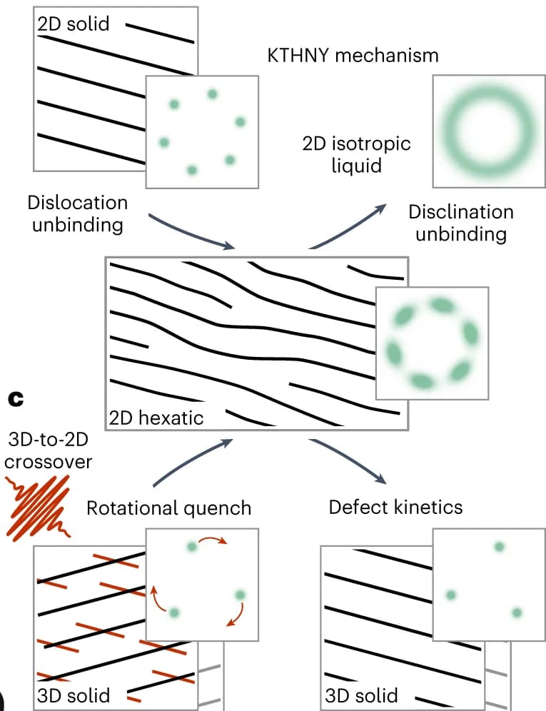 Open access visualization of Workflow, Flowchart, Illustration, Thermal Melting, Hexatic Phase