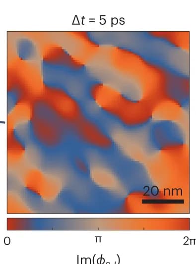 Open access visualization of Heatmap, Phase Modulation, Fourier Transformation, Phase Singularities, CDW Correlation