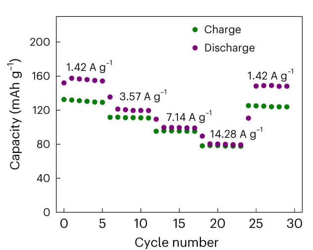 Open access visualization of Scatter Plot, Galvanostatic Discharge, Charge Curves, Specific Capacity, Current Rates