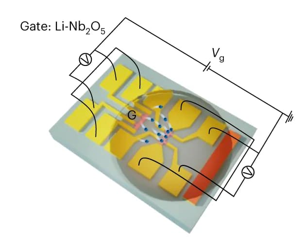 Open access visualization of Illustration, Chemical Structure, ILG Device, Gate Electrode, LNbO Gate Electrode