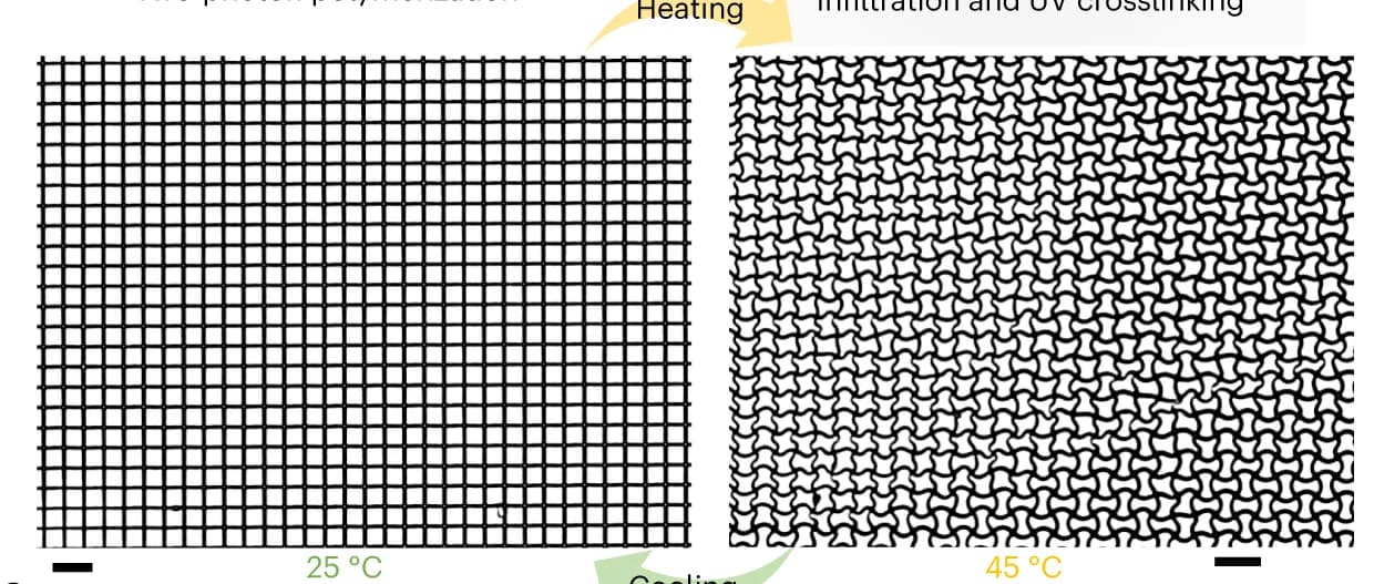 Open access visualization of Microscopy, Optical Microscope, Metalattice, Laser Power, Heating
