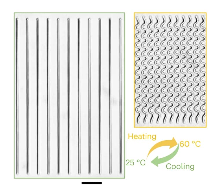 Open access visualization of Microscopy, Optical microscope, Printed beam arrays, Heating