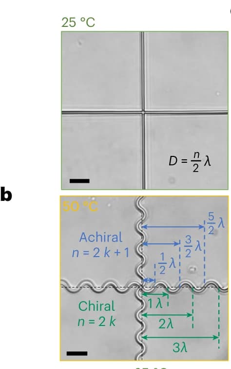 Open access visualization of Microscopy, Optical Image, Printed Cross, 25 °C