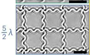 Open access visualization of Microscopy, Optical Image, Transformation, Chiral Metastructures, Achiral Metastructures