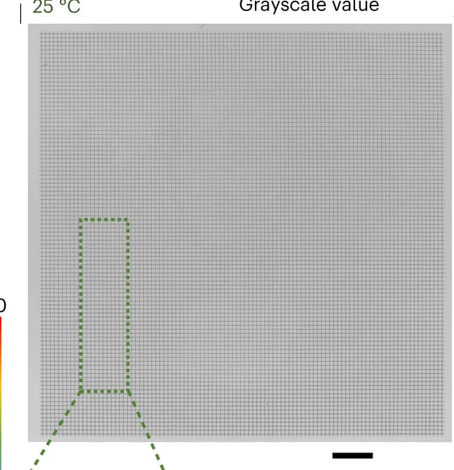 Open access visualization of Heatmap, Optical Images, Metalattice Pattern, Scanning Powers