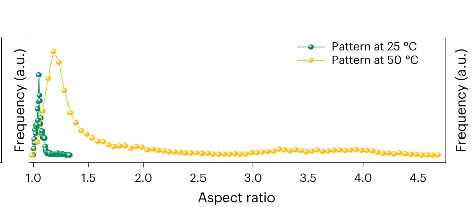 Open access visualization of Line Plot, Aspect Ratio Distribution, Transformation
