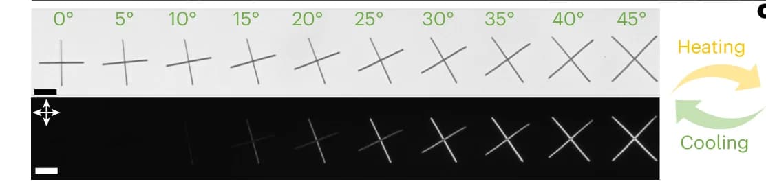 Open access visualization of Photo, Optical Image, Cross-polarized Image, Cross Units