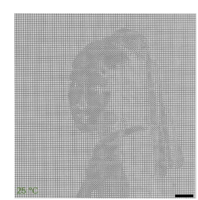 Open access visualization of Photo, Optical Image, Metastructures, Cross Units, Printing Angles