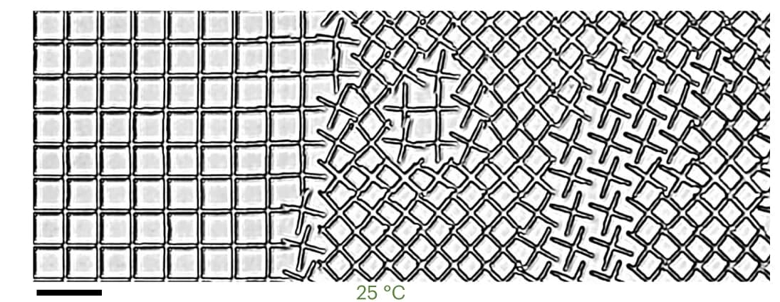 Open access visualization of Microscopy, Optical Image, Pixelized Metastructures