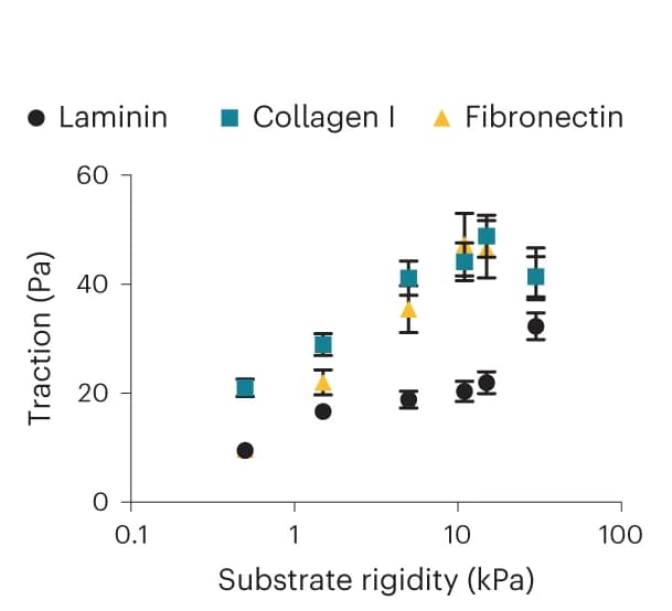 Open access visualization of Scatter Plot, Error Bars, Cell Tractions, PAA Gels, Rigidity