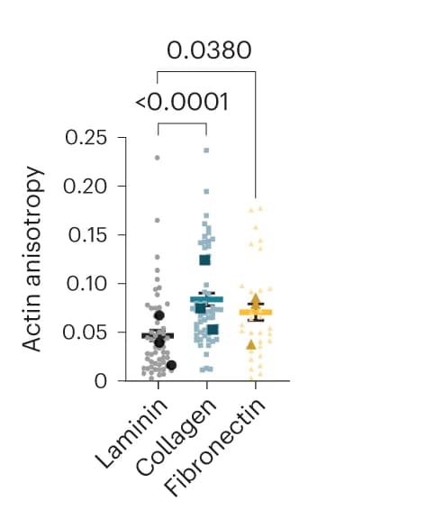 Open access visualization of Scatter Plot, Actin Anisotropy, Laminin, Collagen I, Fibronectin