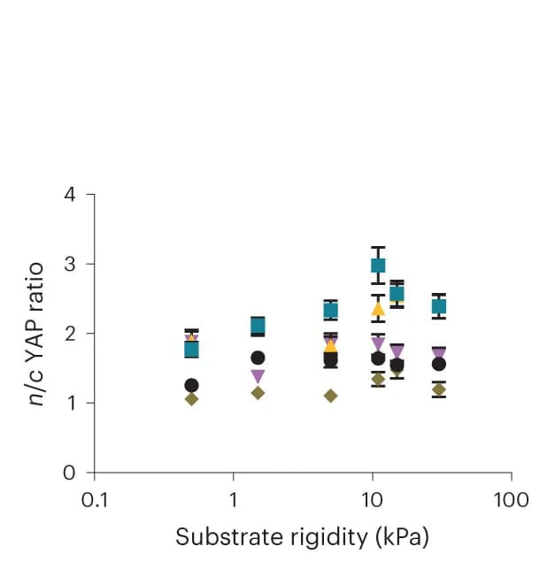 Open access visualization of Scatter Plot, Error Bars, MCF10A Cells, Laminin-coated PAA Gels, Integrin-blocking Antibodies