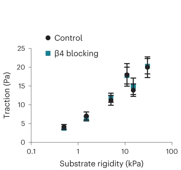 Open access visualization of Scatter Plot, Error Bars, YAP Ratio, MCF10A Cells, Integrin-blocking Antibodies