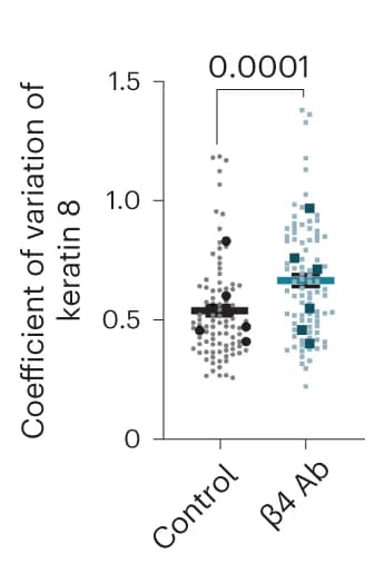 Open access visualization of Scatter Plot, Keratin 8, Coefficient of Variation, Basal Layer, Cell Periphery