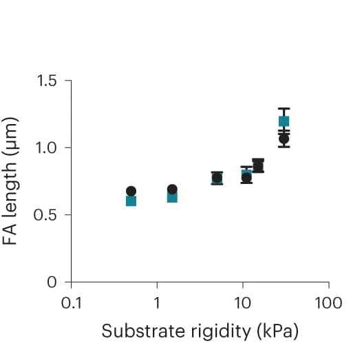 Open access visualization of Line Plot, Error Bars, FA Length, MCF10A Cells, Integrin