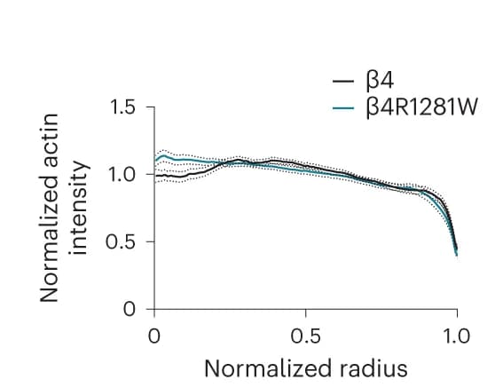 Open access visualization of Line Plot, Error Bars, Phalloidin, Signal Intensity, Cell Radius