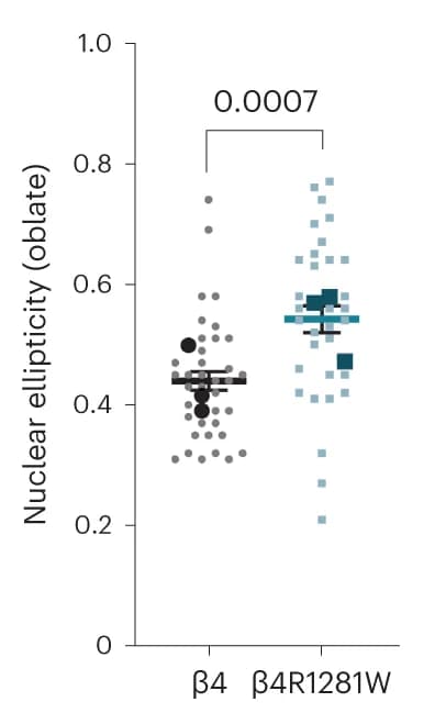 Open access visualization of Scatter Plot, Error Bars, Nuclear Ellipticity, Integrin