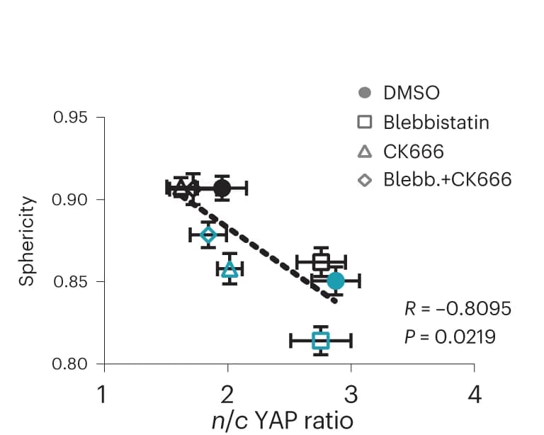 Open access visualization of Scatter Plot, Regression Plot, Error Bars, YAP Ratio, Sphericity