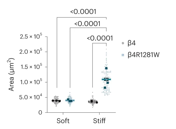 Open access visualization of Scatter Plot, Integrin, Cell Spheroids, Invasion, Soft Matrices