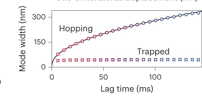 Open access visualization of Line Plot, Scatter Plot, Gaussian Fit, Lag Time, Trapped State