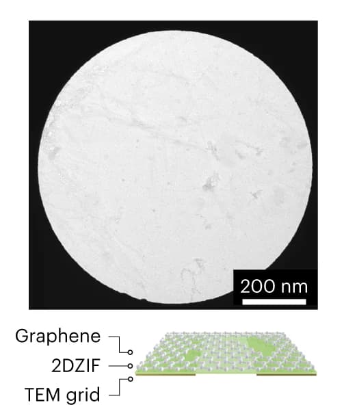 Open access visualization of Microscopy, Illustration, TEM Image, 2DZIF Film, Graphene
