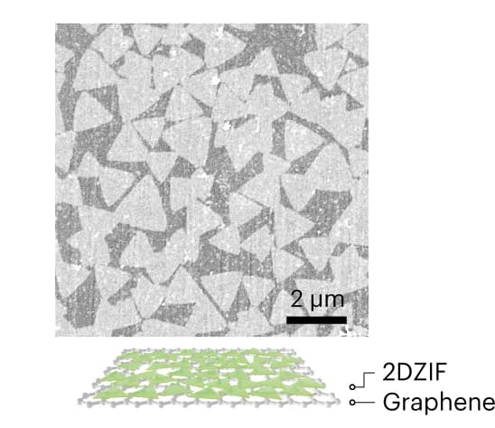 Open access visualization of Microscopy, Illustration, SEM, Triangular Grains, 2DZIF