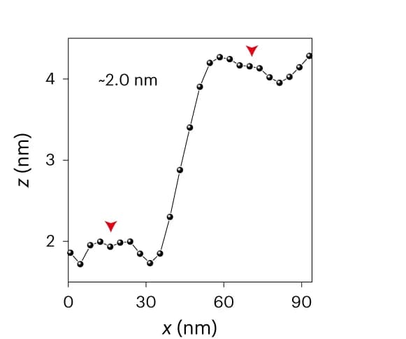 Open access visualization of Line Plot, AFM, Height Profile