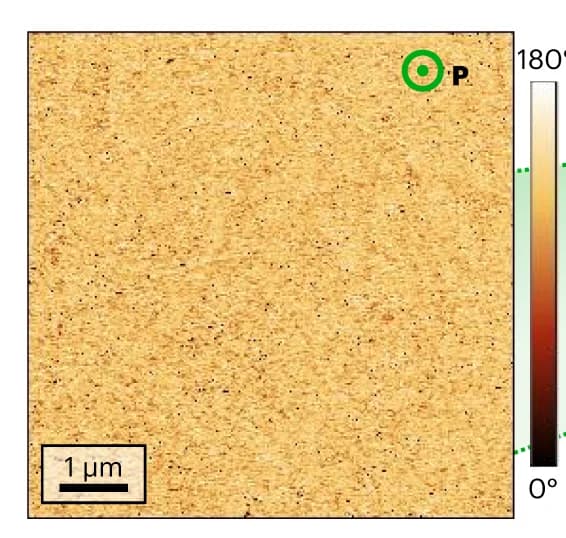 Open access visualization of Heatmap, VPFM, BTO-BFTO Bilayer, Polarization, Domains