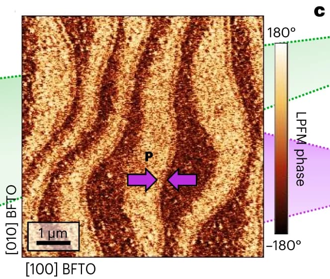Open access visualization of Microscopy, LPFM, BTO-BFTO Bilayer, Polarization, Domains