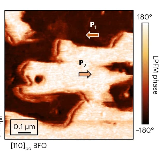 Open access visualization of Microscopy, LPFM Phase Scan, Polarization Components, BFO, BFTO