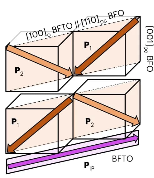 Open access visualization of Illustration, Schematic, CDWs, Polarized Buffer
