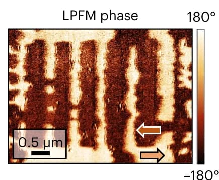 Open access visualization of Microscopy, LPFM Phase, LPFM Amplitude, BFO Domains, Scanning Probe