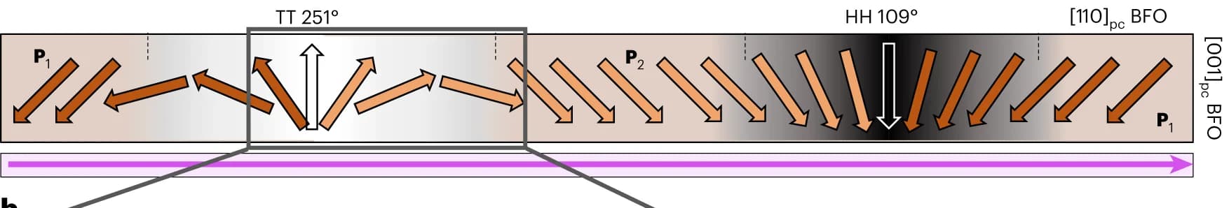 Open access visualization of Illustration, Polarization Rotation, Domain Walls, Chirality, BFO Film