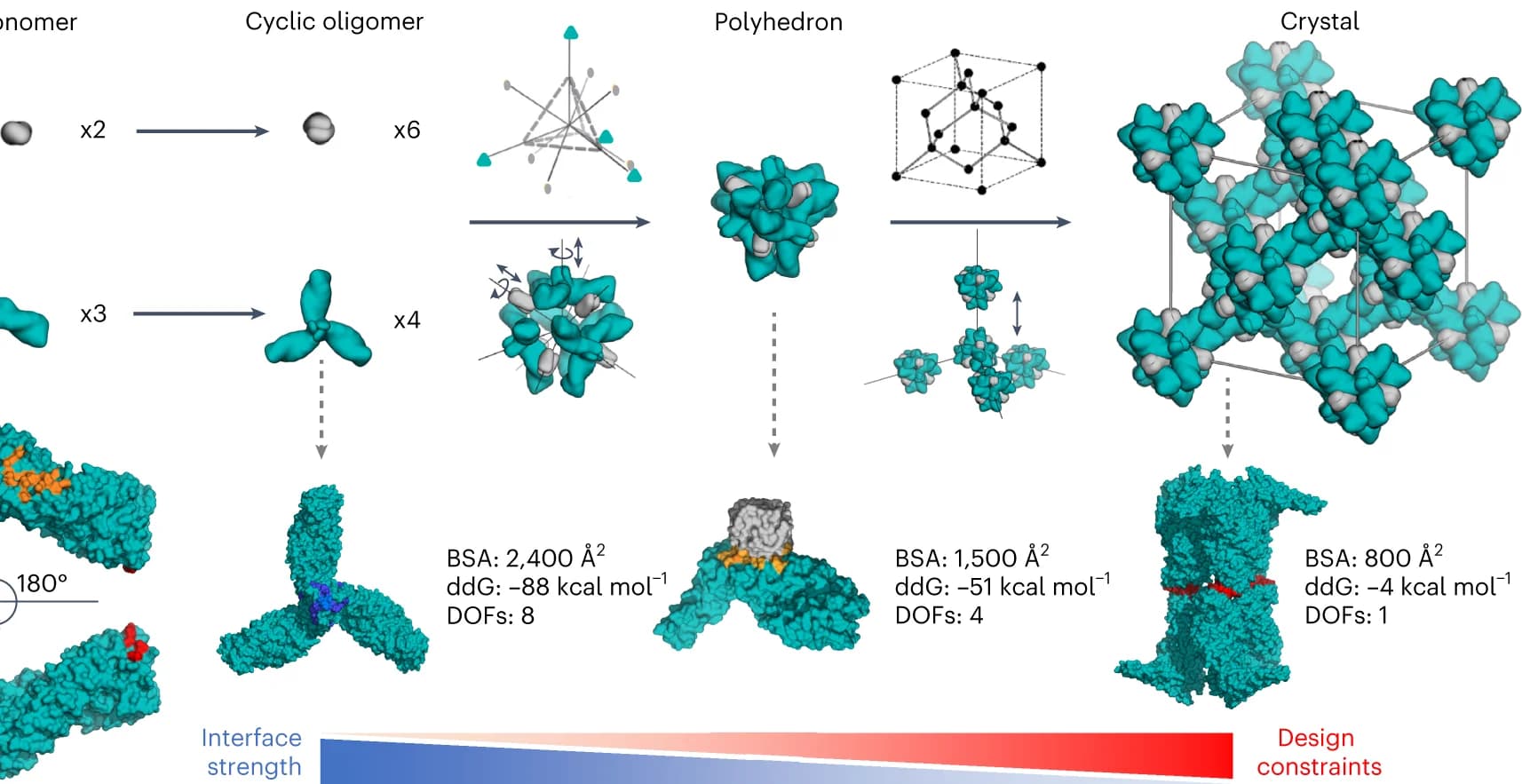 Open access visualization of Workflow, Chemical Structure, Interfaces, Monomer, Trimer