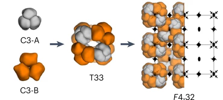 Open access visualization of Workflow, Chemical Structure, Crystals, Cyclic Oligomers, Cage Symmetry